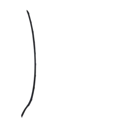 Windscreen Beading LEFT – Ford Fiesta (2009-2017)