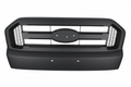 Ford Grille – Background Removed
